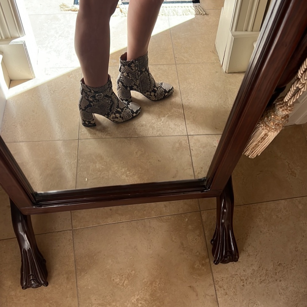Amazing Coach Python Skin Booties - image 6